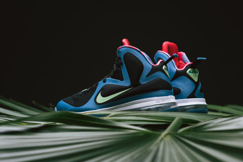 Nike LeBron IX 'South Coast'