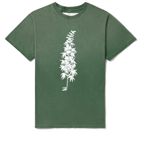 One Of These Days More Peace, More Freedom Tee - Washed Green