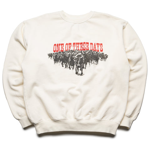 One Of These Days Stampede Crewneck - Bone