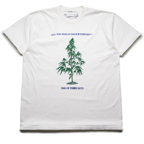 One Of These Days All You Really Have Is Your Mind Tee - Bone