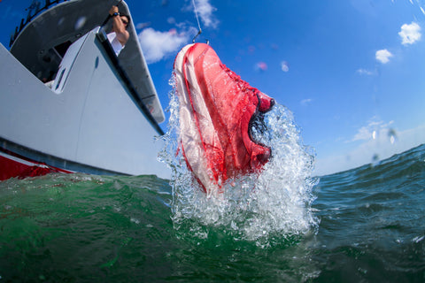 Behind the Design: Politics x Adidas 'Red Snapper'