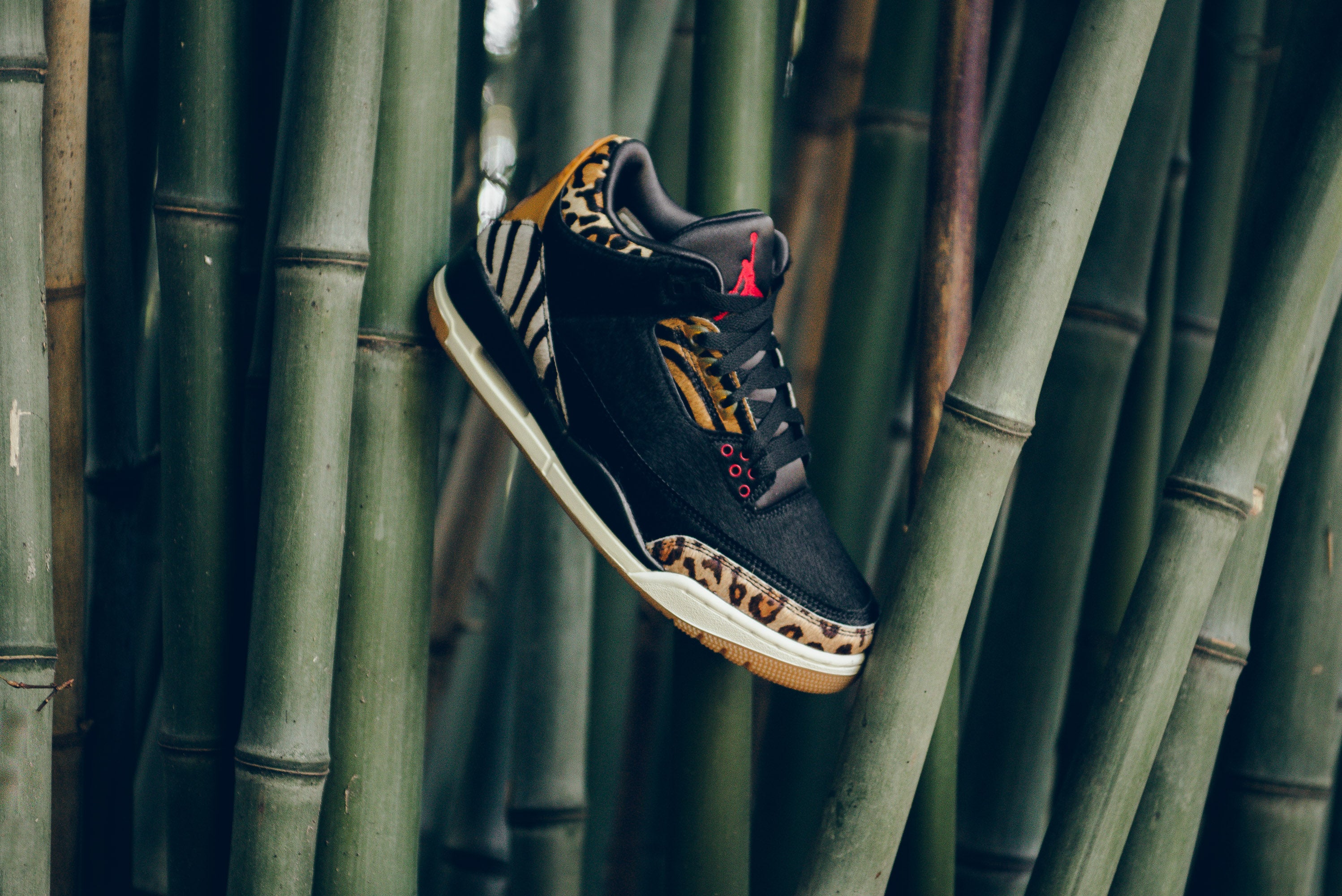 Sneaker Politics
