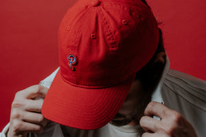 Sneaker Politics Dad Hats