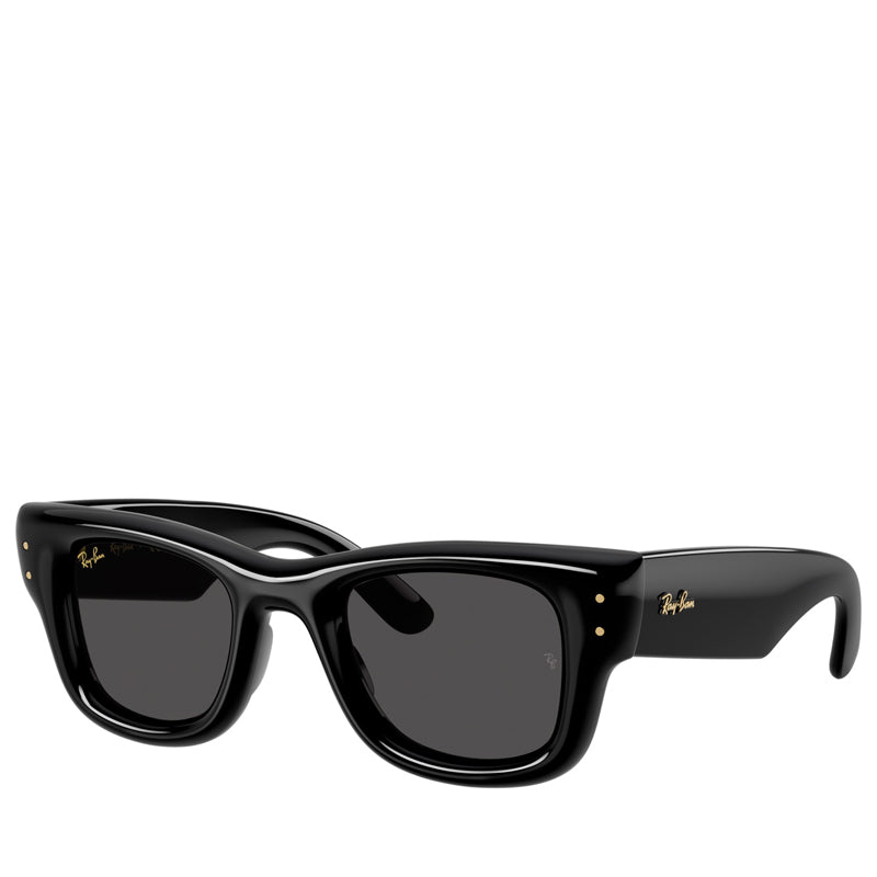 ◆Ray-Ban × A$AP ROCKY ◇wayfarer 　　サングラス Sneaker Politics