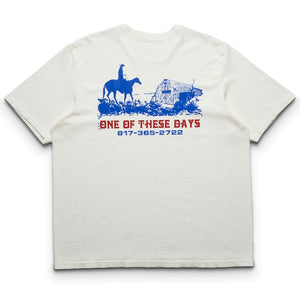 One Of These Days Trail Of Dust Tee - Bone