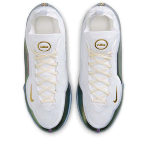 Nike LeBron XXIII Elite 'For The Record' - White/Black
