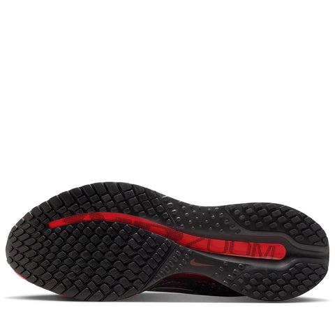 Nike Pegasus Premium - Multi/Metallic Silver