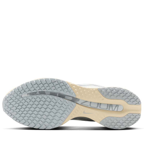 Nike Pegasus Premium 'Running Is Mental' - Platinum Tint/Reflect Silver