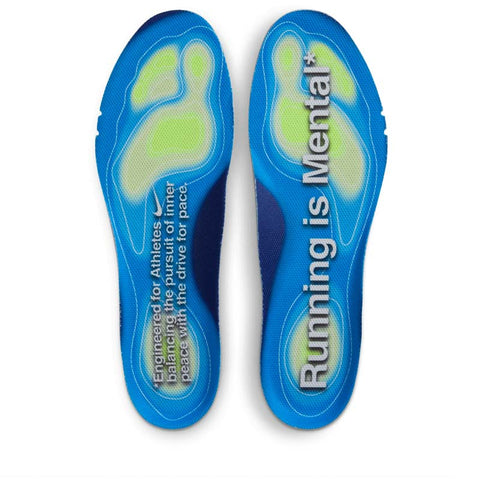 Nike Pegasus Premium 'Running Is Mental' - Platinum Tint/Reflect Silver