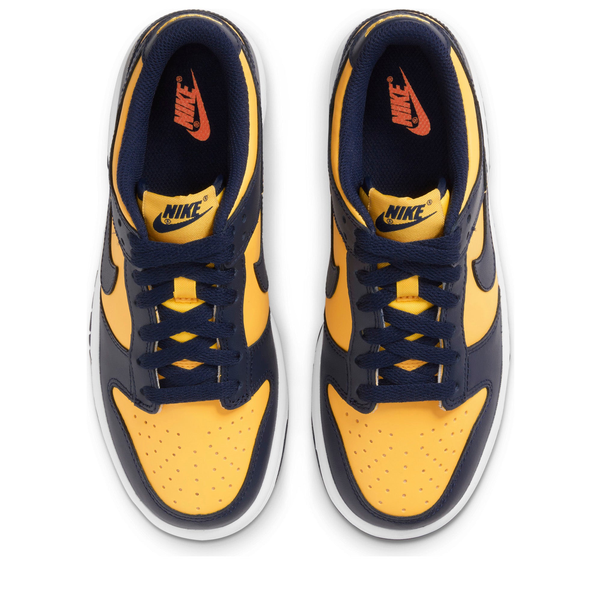 Dunk michigan online low