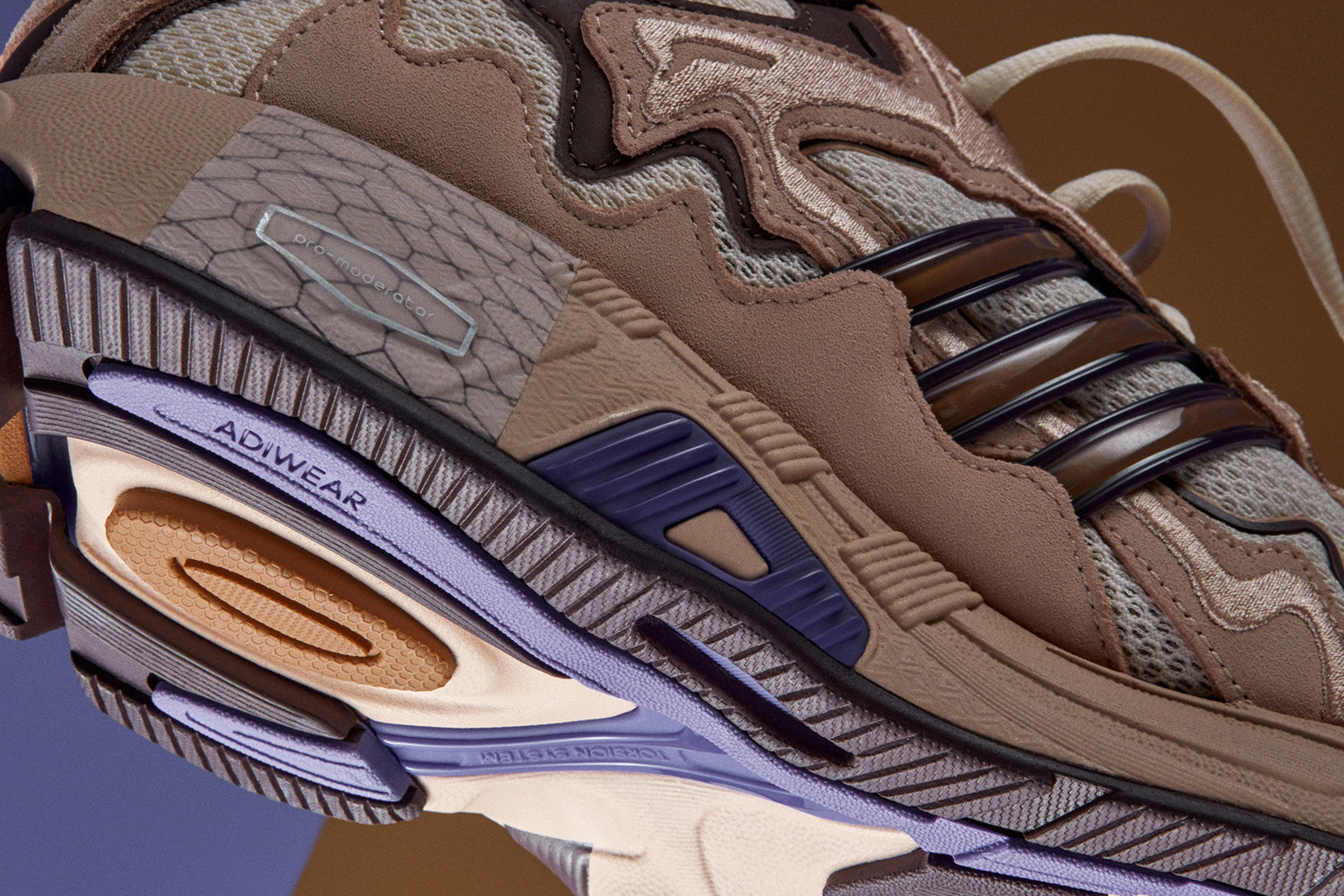 Sneaker Politics