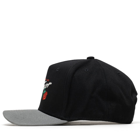 Honor The Gift Concert In The City Snapback - Black