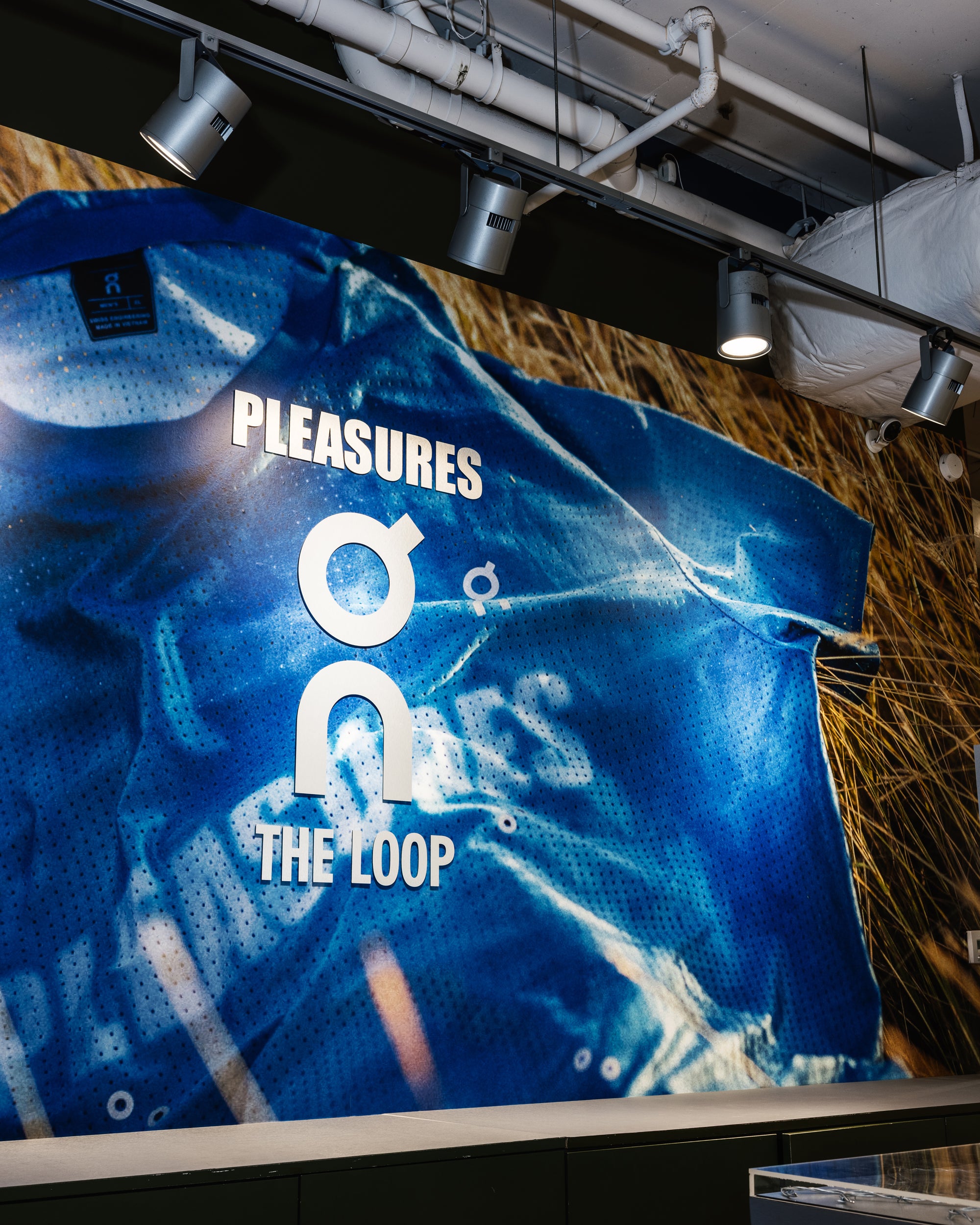 Nike Dunk Low WMNS | Cheap Vareseturismo Jordan Outlet