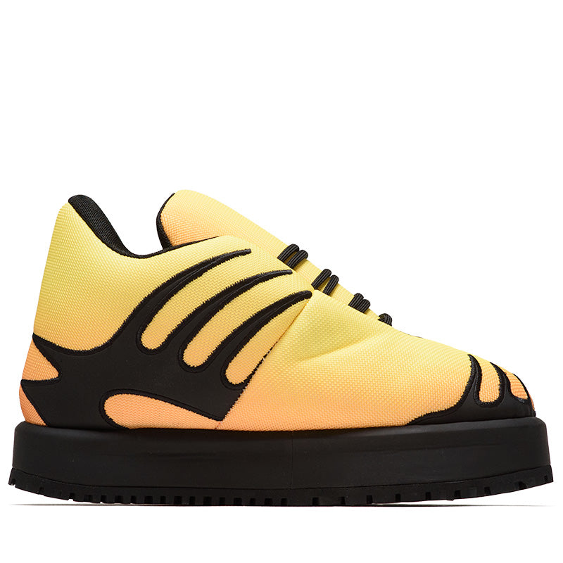 Sneaker Politics Sneaker Politics