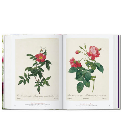 Taschen Redouté - The Book of Flowers 40th Ed.