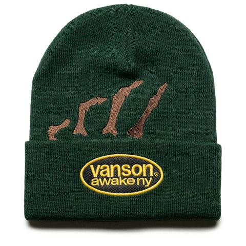 Awake NY Vanson Skeleton Beanie - Green