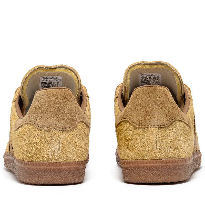 Sneaker Politics Sneaker Politics