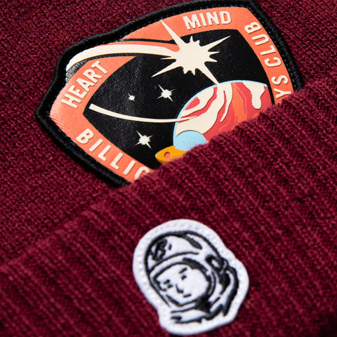 Billionaire Boys Club Stamps Beanie - Rhododendron