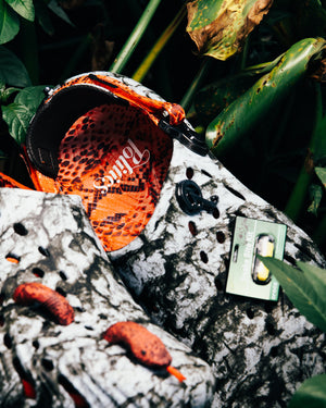 Politics x Crocs Echo II 'Watch Your Step' - Espresso/Multi