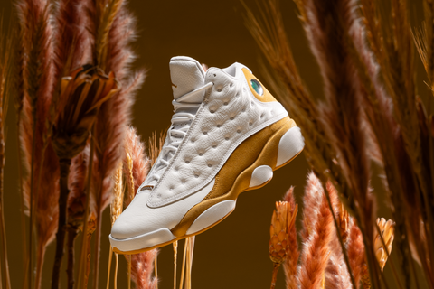 Sneaker Politics