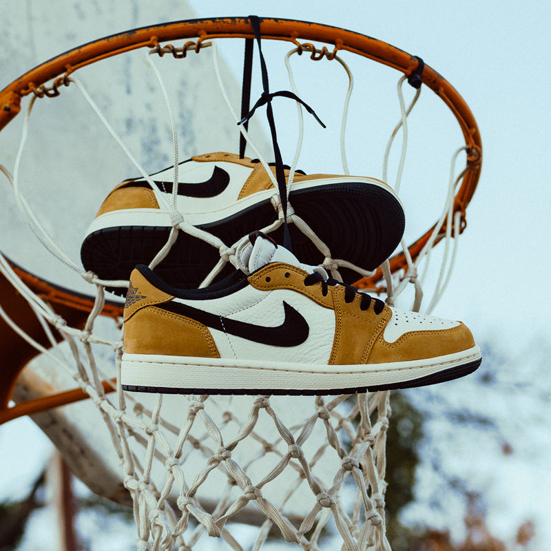 その他 NIKE VINTAGE CHRONICLE DELUXE vintage catalog cortez
