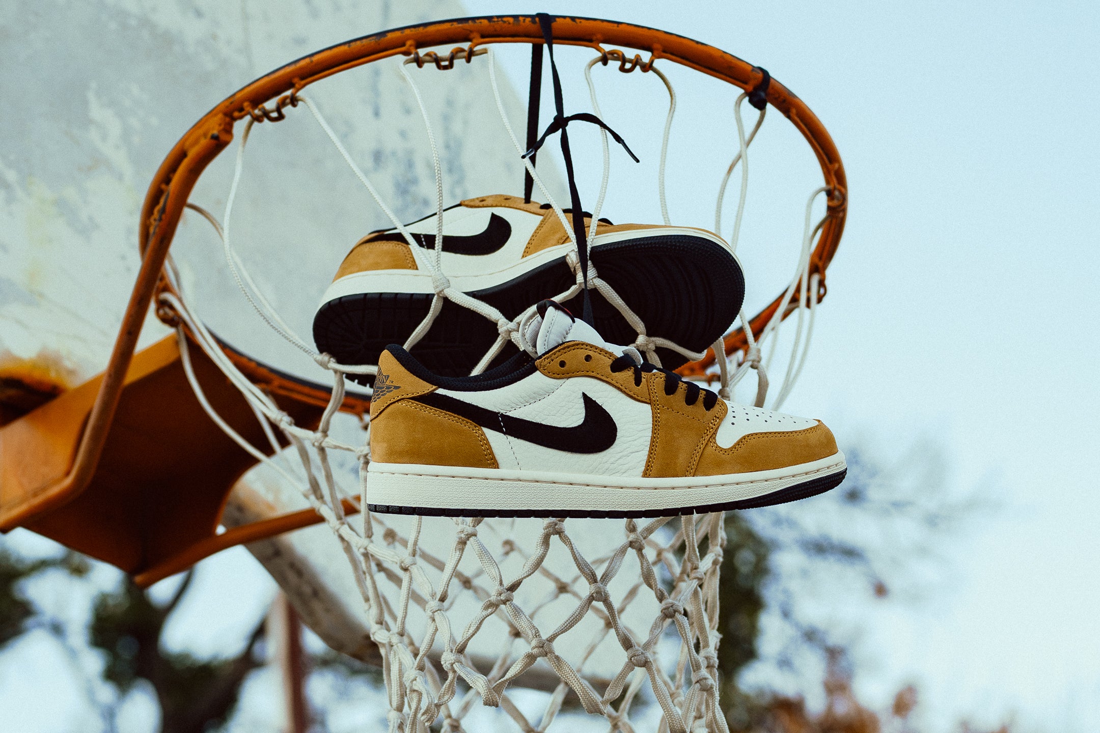 Sneaker Politics