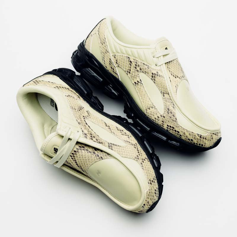 Sneaker Politics
