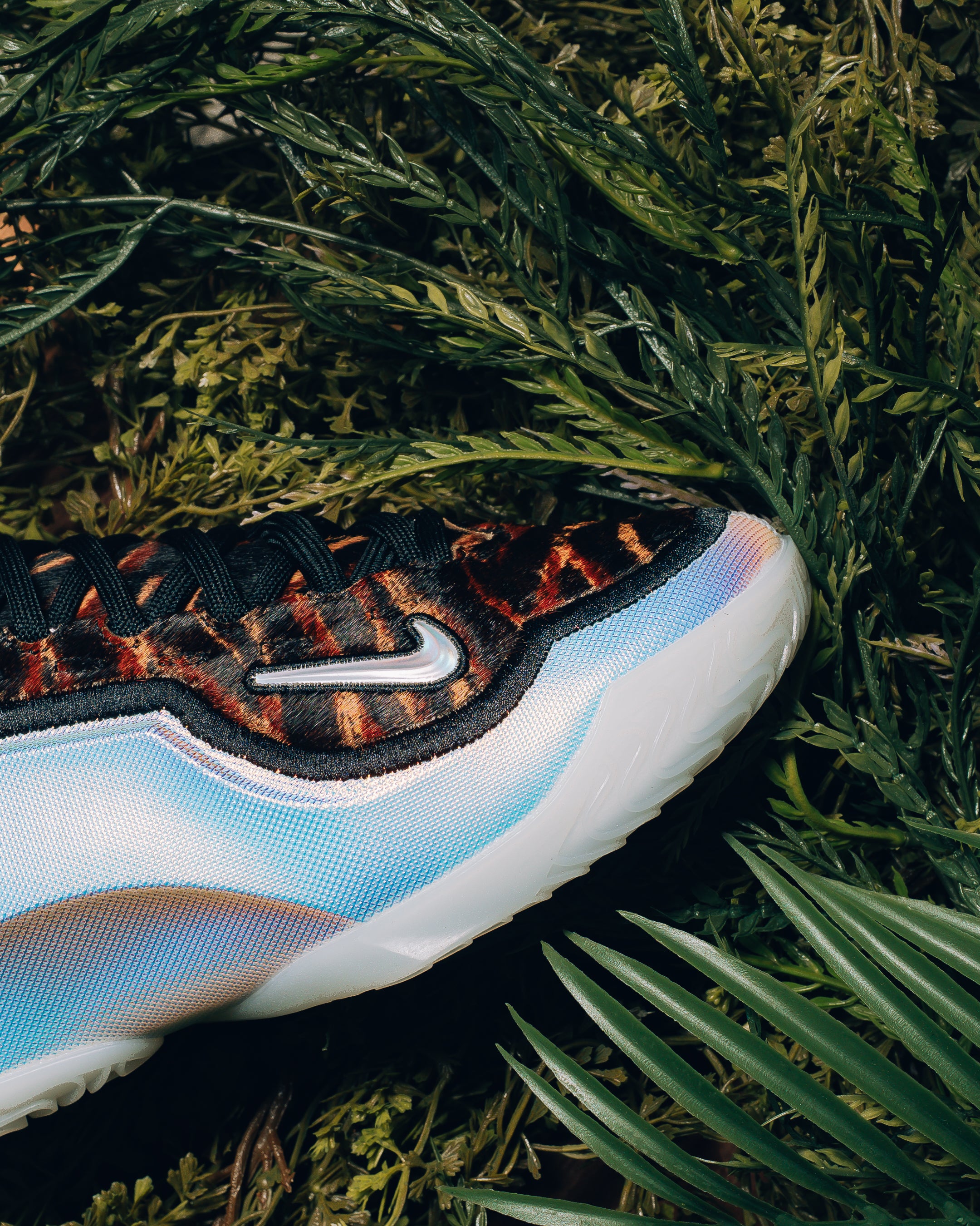 Sneaker Politics