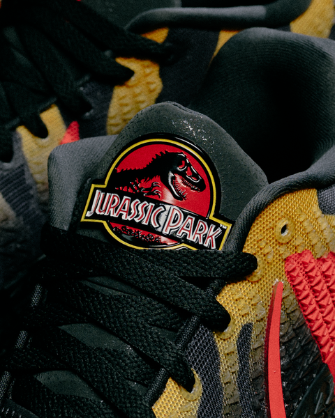 Sneaker Politics