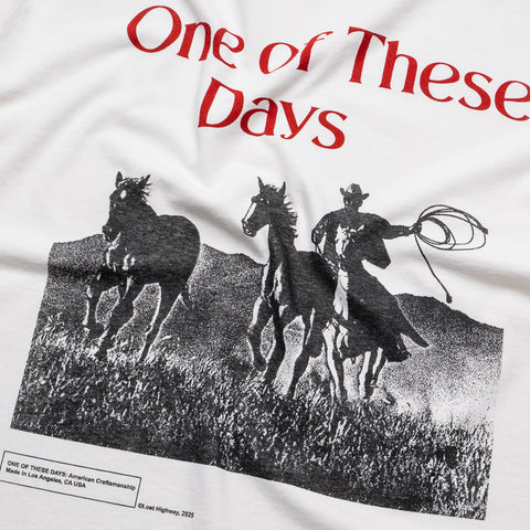 One Of These Days Across The Plains Tee - Bone