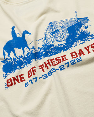 One Of These Days Trail Of Dust Tee - Bone
