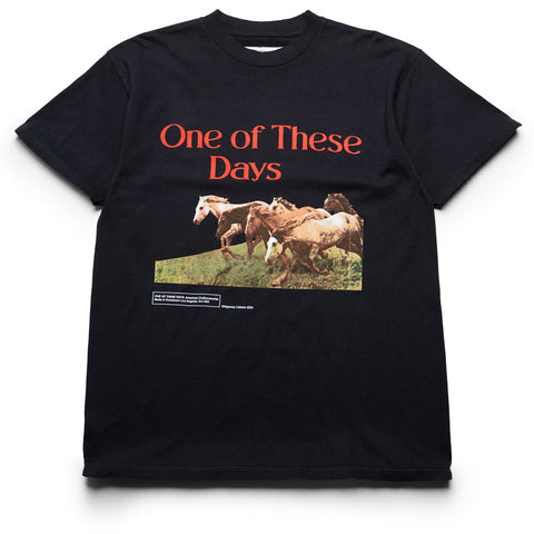 One Of These Days Wild Horses Tee - Washed Black