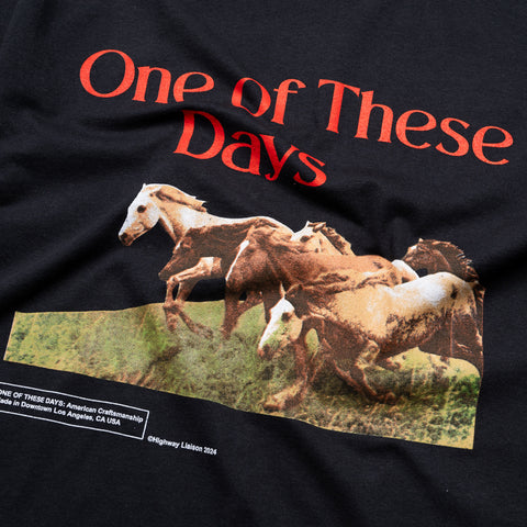 One Of These Days Wild Horses Tee - Washed Black