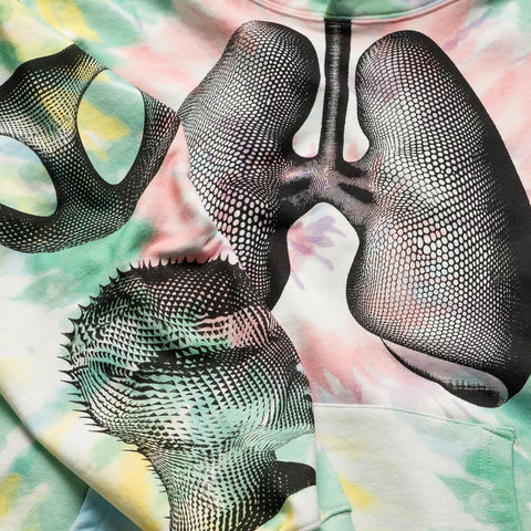 Pleasures Dysfunction Hoodie - Multi