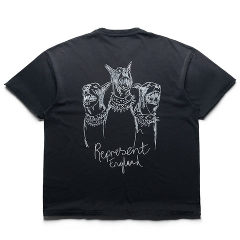 Represent Hand Drawn Thoroughbred Dogs Tee - Aged Black