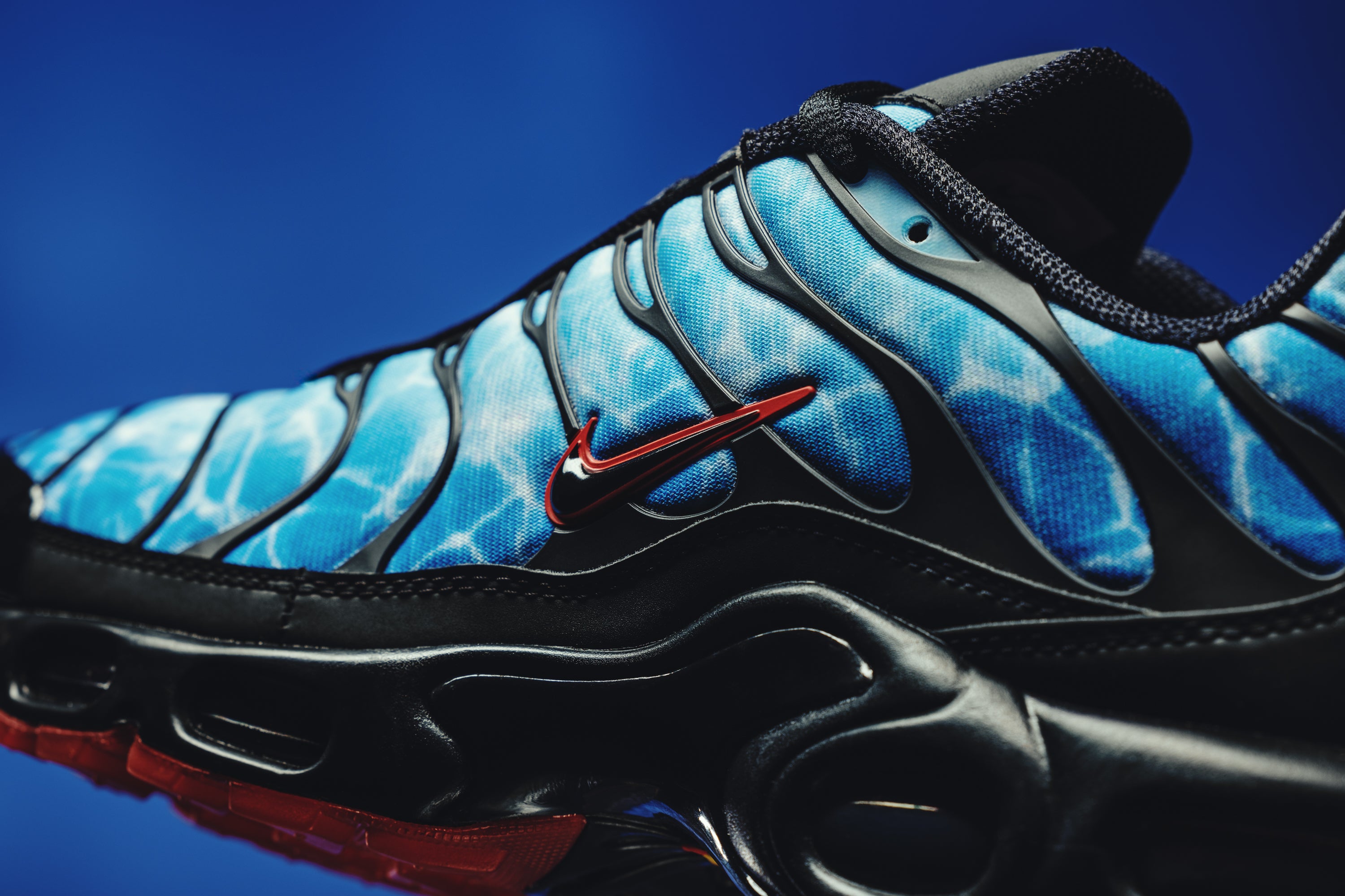 Nike air max plus the shark best sale