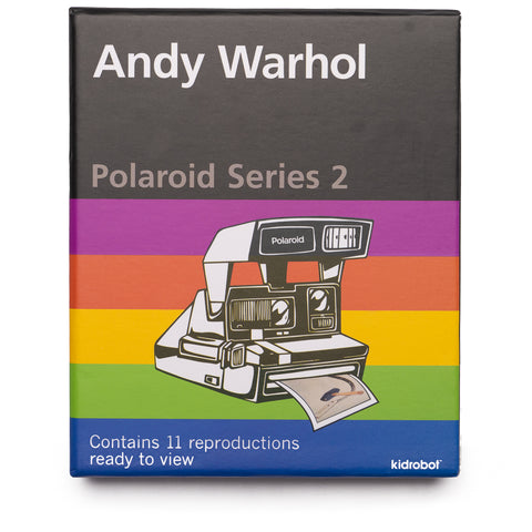 Kidrobot Andy Warhol - Polaroid Series 2